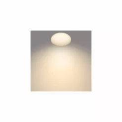 Philips Signify Philips Funktionel LED Loftlampe I Hvid Metal/plastik - CL251 EC RD 10W 27K W WV IP44 06 -Indendørs Belysning Salgsbutik philips funktionel led loftslampe i hvid metalplastik cl251 ec rd 10w 27k w wv ip44 06 1