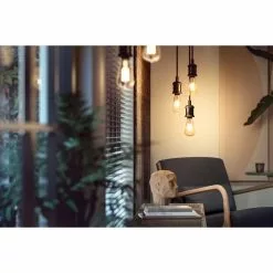 Philips Hue 1 Stk. ST72 E27 Filament Edison - Bluetooth - 8719514279179 -Indendørs Belysning Salgsbutik philips hue 1 stk st72 e27 filament edison bluetooth 8719514279179 12