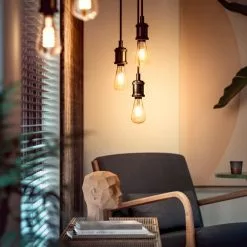 Philips Hue 1 Stk. ST72 E27 Filament Edison - Bluetooth - 8719514279179 -Indendørs Belysning Salgsbutik philips hue 1 stk st72 e27 filament edison bluetooth 8719514279179 15