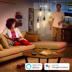 Philips Hue 1 Stk. ST72 E27 Filament Edison - Bluetooth - 8719514279179 -Indendørs Belysning Salgsbutik philips hue 1 stk st72 e27 filament edison bluetooth 8719514279179 16