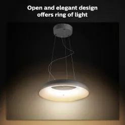 Philips Hue Amaze Hue Pendel Sort - 929003054901 -Indendørs Belysning Salgsbutik philips hue amaze hue pendel sort 929003054901 3