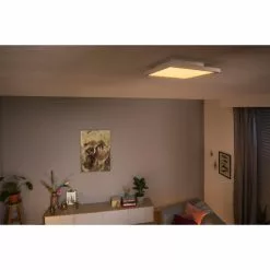Philips Hue Aurelle Loftslampe Firkantet Lille Hvid 28W 230V -Indendørs Belysning Salgsbutik philips hue aurelle loftslampe hvid 28w 230v 7