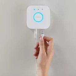 Philips Hue Bridge/Bro V. 2.1 -Indendørs Belysning Salgsbutik philips hue bridgebro 20 1 5