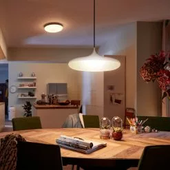 Philips Hue Cher Pendel - Bluetooth - 8718696175095 -Indendørs Belysning Salgsbutik philips hue cher pendel bluetooth 8718696175095 3