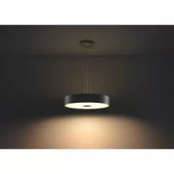 Philips Hue Connected Fair Pendel Sort 23 Philips Hue Connected Fair Pendel Sort -Indendørs Belysning Salgsbutik philips hue connected fair pendel sort 1 9