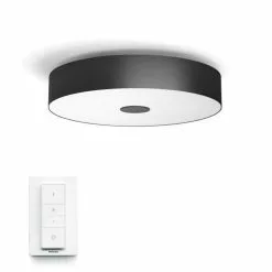 Philips Hue Connected Fair Plafond Sort