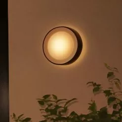 Philips Hue Daylo Udendørs Væglampe - 8718696174401 -Indendørs Belysning Salgsbutik philips hue daylo udendrs vaeglampe 8718696174401 4