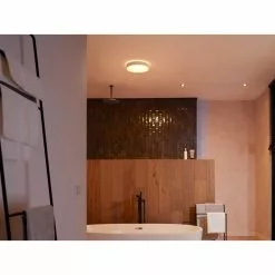 Philips Hue Devere M Loftslampe Hvid - 915005997601 -Indendørs Belysning Salgsbutik philips hue devere m loftslampe hvid 915005997601 11