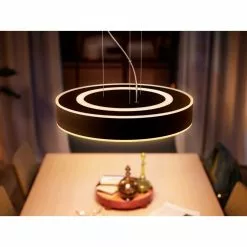 Philips Hue Enrave Pendel Sort - 915005998101 -Indendørs Belysning Salgsbutik philips hue enrave pendel sort 915005998101 18