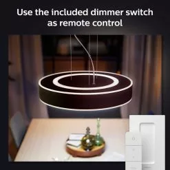 Philips Hue Enrave Pendel Sort - 915005998101 -Indendørs Belysning Salgsbutik philips hue enrave pendel sort 915005998101 6