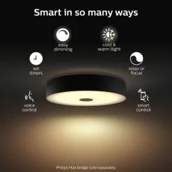 Philips Hue Fair Hue Loftslampe Sort - 929003054701 -Indendørs Belysning Salgsbutik philips hue fair hue loftslampe sort 929003054701 8