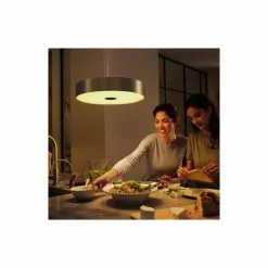 Philips Hue Fair Hue Pendel Sort - 929003054501 -Indendørs Belysning Salgsbutik philips hue fair hue pendel sort 929003054501 9