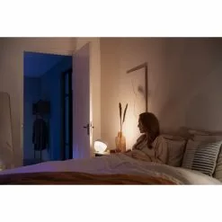 Philips Hue Iris Lampe -Indendørs Belysning Salgsbutik philips hue iris lampe 1 7