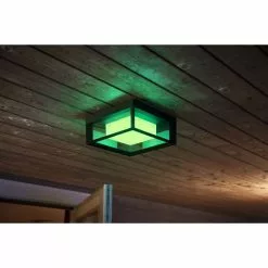 Philips Hue Outdoor Econic Firkantet Væglampe -Indendørs Belysning Salgsbutik philips hue outdoor econic firkantet vaeglampe 2