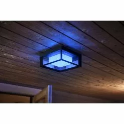 Philips Hue Outdoor Econic Firkantet Væglampe -Indendørs Belysning Salgsbutik philips hue outdoor econic firkantet vaeglampe 6