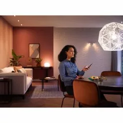 Philips Hue White 9.5W A60 E27 2P - 929002469205 13 Philips Hue White 9.5W A60 E27 2P - 929002469205 -Indendørs Belysning Salgsbutik philips hue white 95w a60 e27 2p 929002469205 3